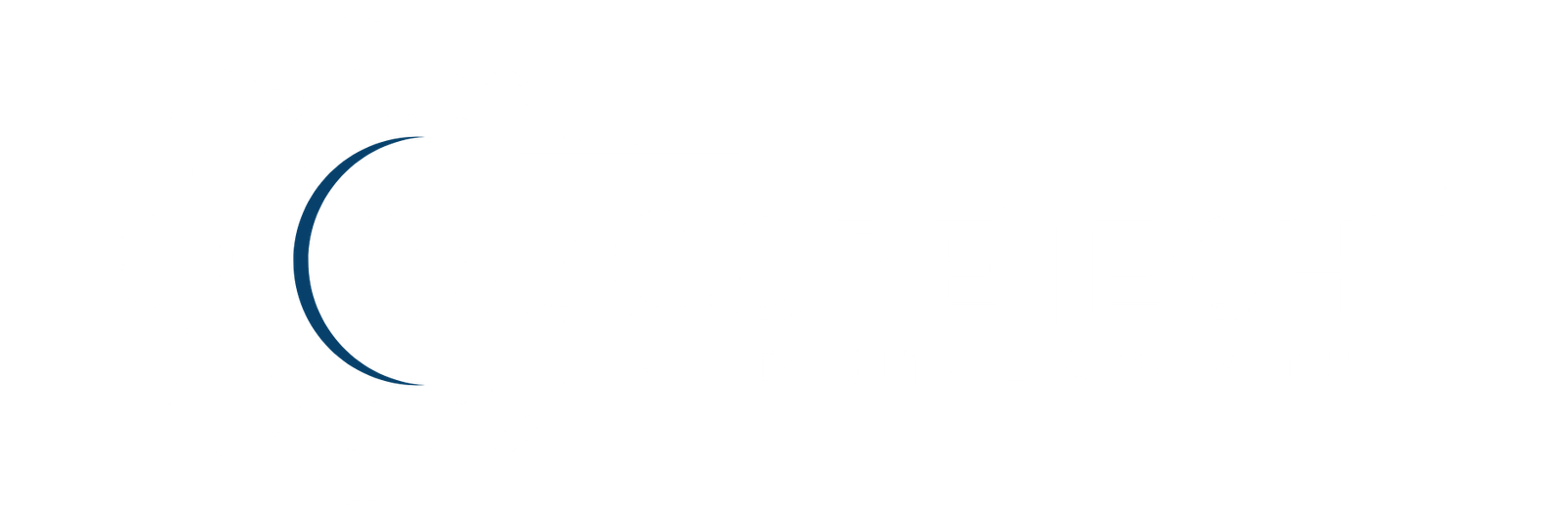 Website header ke liye wscoretech ka logo